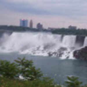 Meet your Posher, Emily m